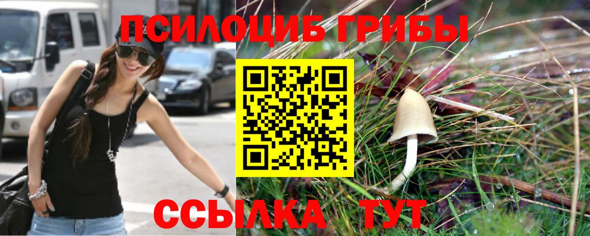 Галлюциногенные грибы Magic Shrooms  Вход с VPN  Златоуст  Псилоцибиновые грибы Psilocybine cubensis 